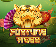 Fortune Tiger